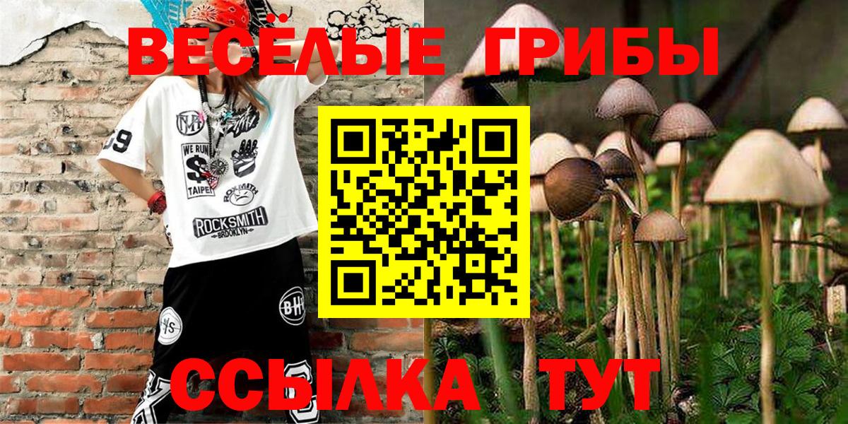 Псилоцибиновые грибы Psilocybine cubensis Кировск