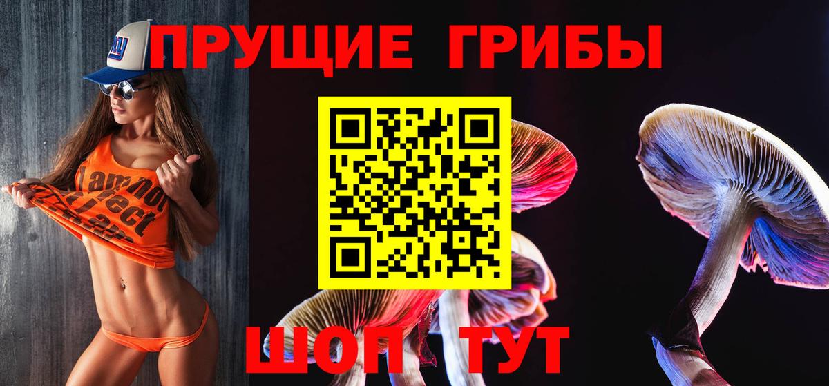 Кировск  Псилоцибиновые грибы Magic Shrooms  Вход с VPN 